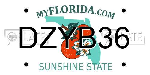 DZYB36 Florida License Plate