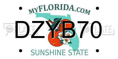 DZYB70 Florida License Plate