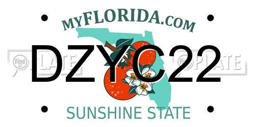 DZYC22 Florida License Plate