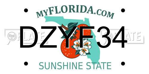 DZYF34 Florida License Plate