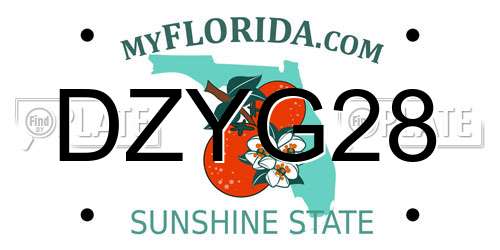 DZYG28 Florida License Plate