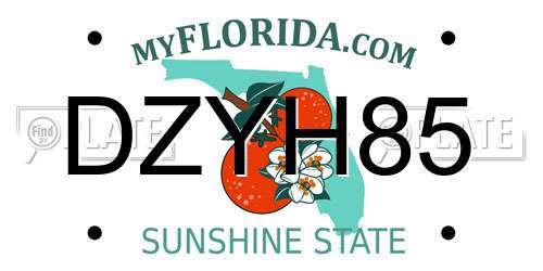 DZYH85 Florida License Plate
