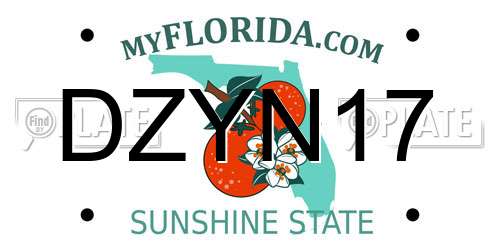 DZYN17 Florida License Plate