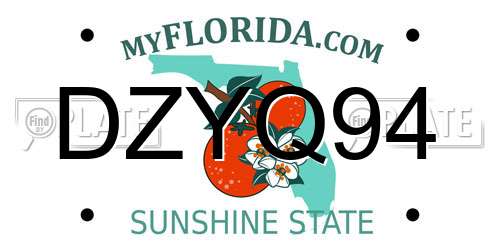 DZYQ94 Florida License Plate