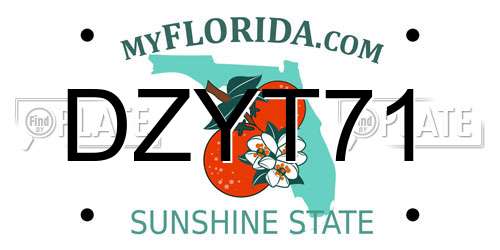 DZYT71 Florida License Plate