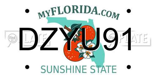 DZYU91 Florida License Plate