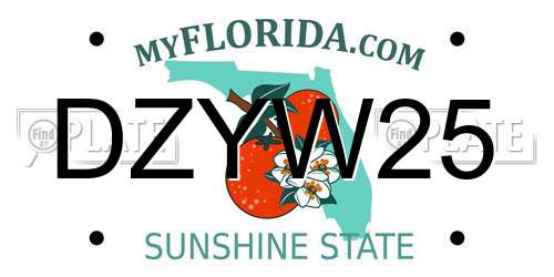 DZYW25 Florida License Plate
