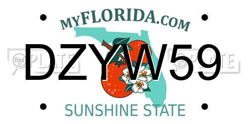 DZYW59 Florida License Plate