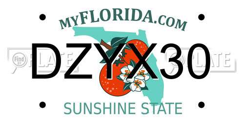 DZYX30 Florida License Plate