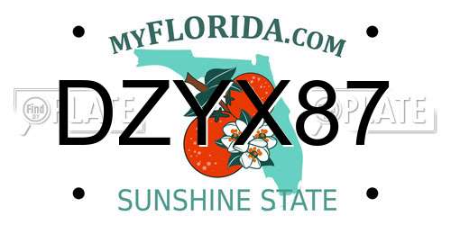 DZYX87 Florida License Plate
