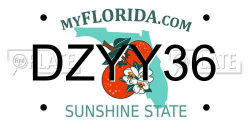 DZYY36 Florida License Plate