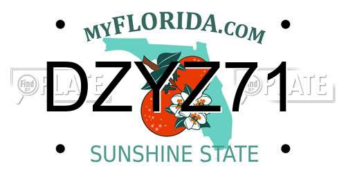 DZYZ71 Florida License Plate