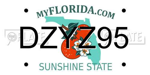 DZYZ95 Florida License Plate