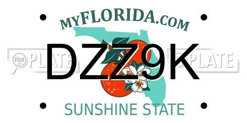DZZ9K Florida License Plate