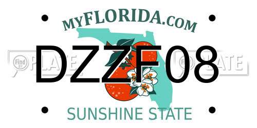DZZF08 Florida License Plate