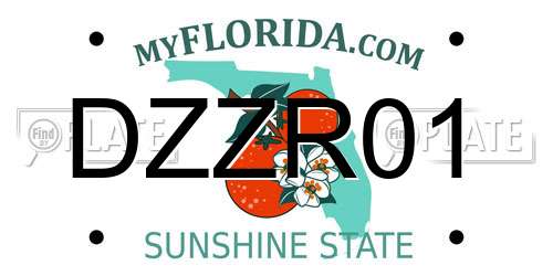 DZZR01 Florida License Plate