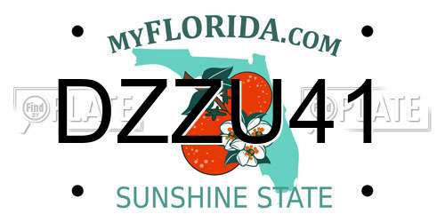 DZZU41 Florida License Plate