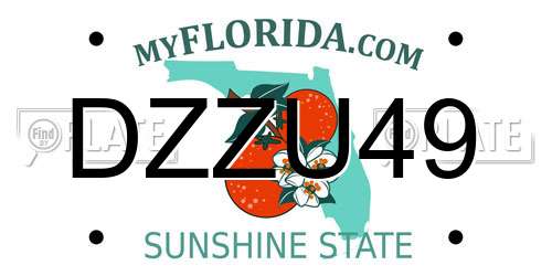 DZZU49 Florida License Plate
