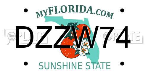 DZZW74 Florida License Plate