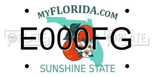 E000FG Florida License Plate