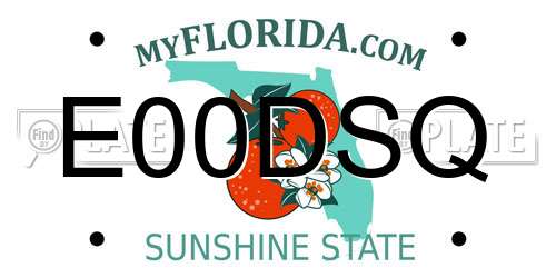 E00DSQ Florida License Plate