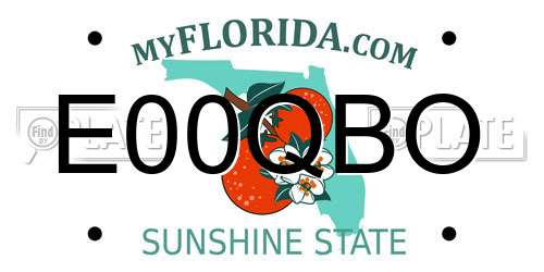 E00QBO Florida License Plate