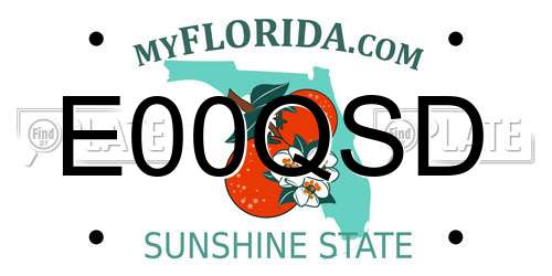 E00QSD Florida License Plate
