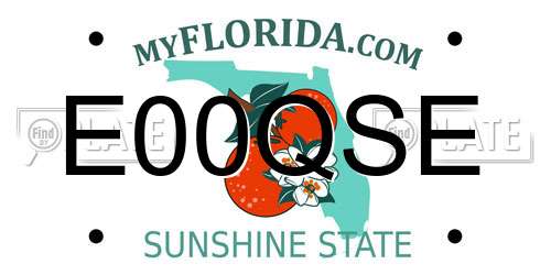 E00QSE Florida License Plate