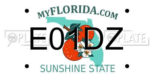 E01DZ Florida License Plate
