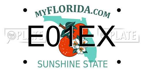 E01EX Florida License Plate