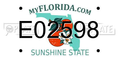 E02598 Florida License Plate