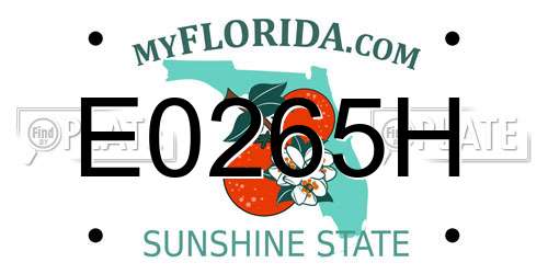 E0265H Florida License Plate