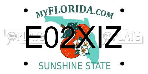 E02XIZ Florida License Plate