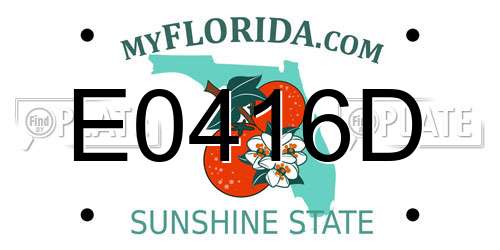 E0416D Florida License Plate