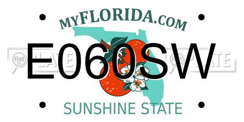 E060SW Florida License Plate