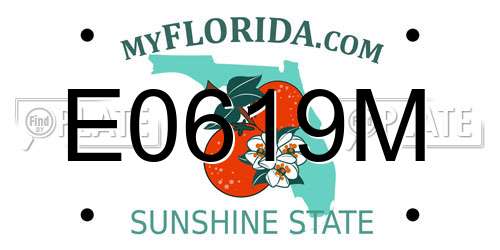 E0619M Florida License Plate
