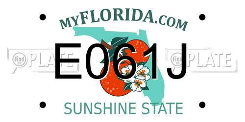 E061J Florida License Plate