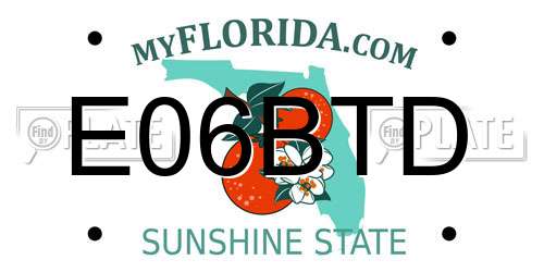 E06BTD Florida License Plate