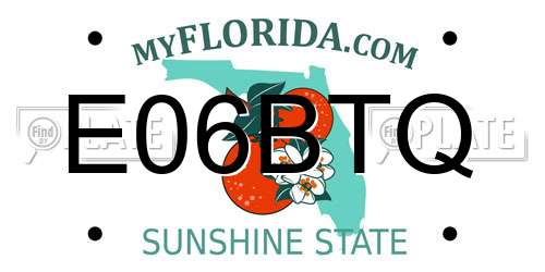 E06BTQ Florida License Plate