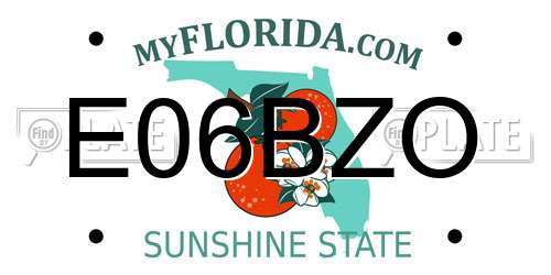 E06BZO Florida License Plate