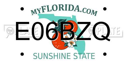 E06BZQ Florida License Plate