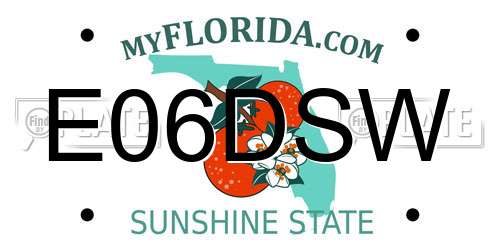 E06DSW Florida License Plate