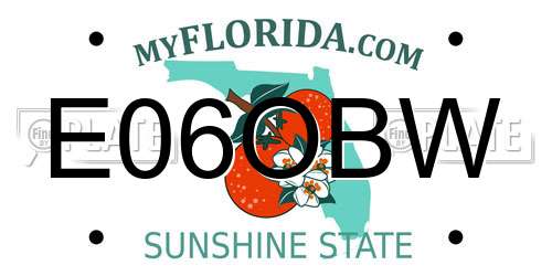 E06OBW Florida License Plate