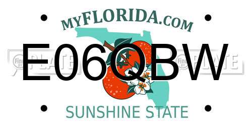 E06QBW Florida License Plate