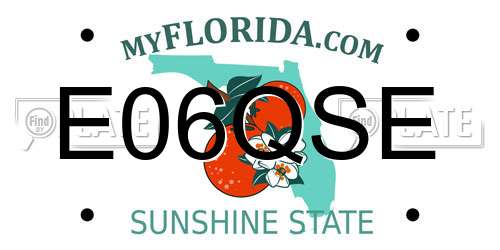 E06QSE Florida License Plate