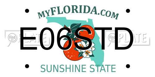 E06STD Florida License Plate
