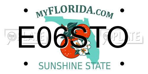 E06STO Florida License Plate