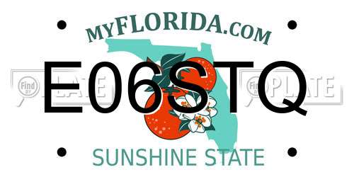 E06STQ Florida License Plate