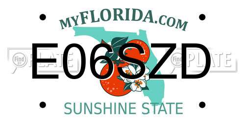E06SZD Florida License Plate