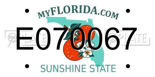 E070067 Florida License Plate